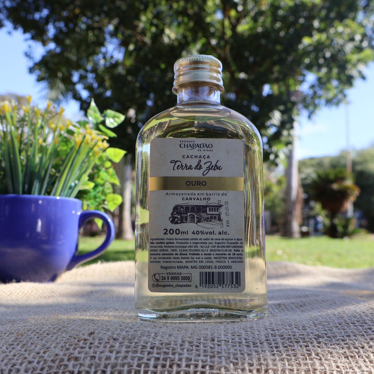 Cachaça Carvalho Terra do Zebu